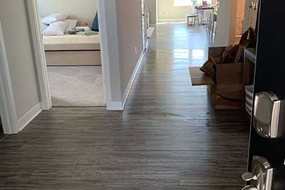 The same style of hard floor polished and reflecting daylight